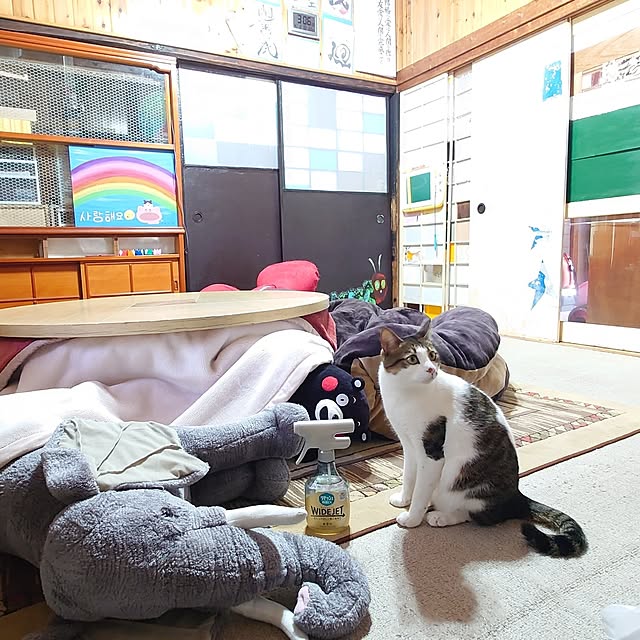 kikuさんの部屋