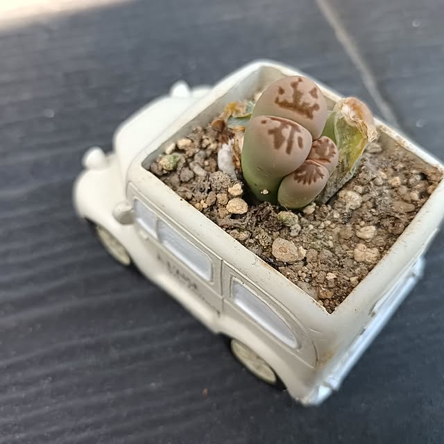 tomo5さんの部屋