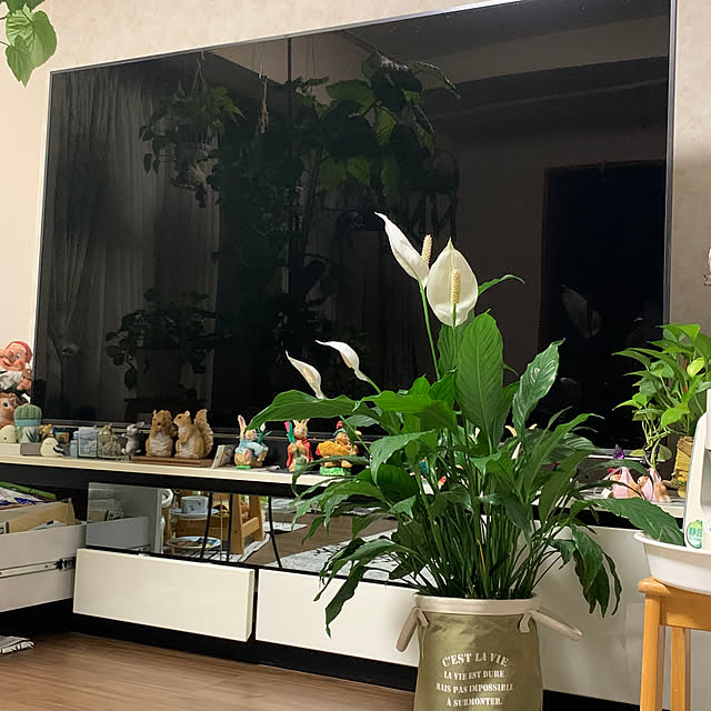 Aqettyさんの部屋