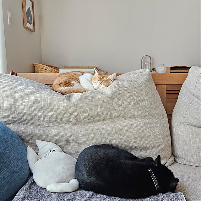 koyurizuさんの実例写真