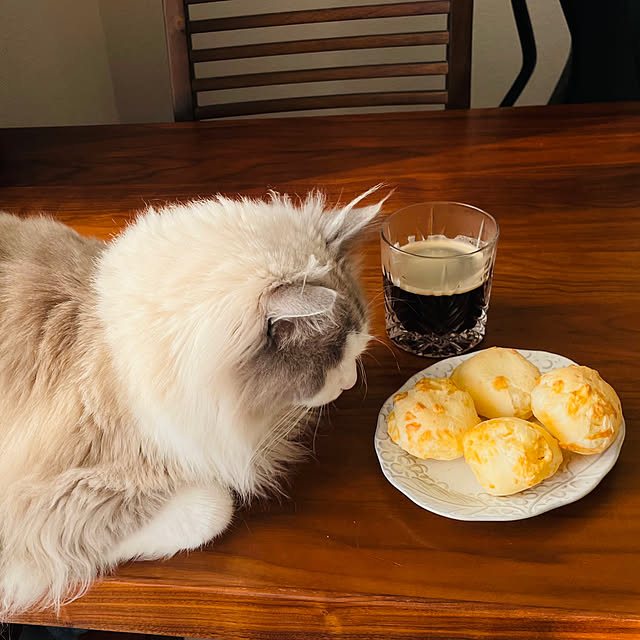 CatSlaveさんの実例写真