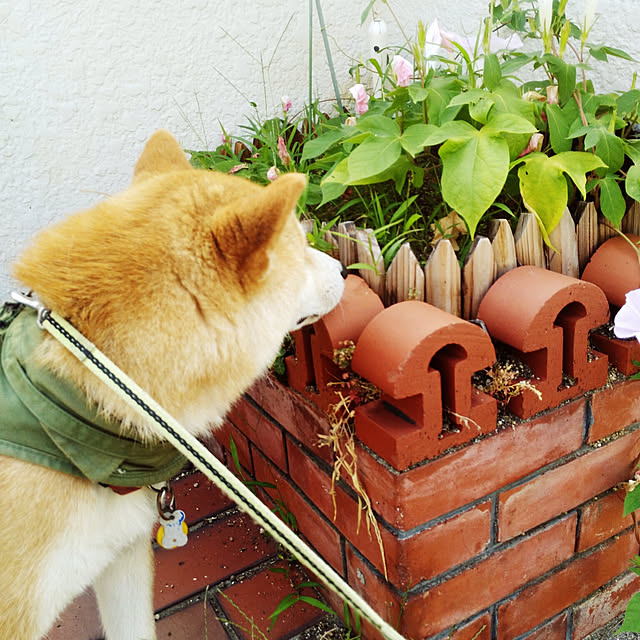 fruityanさんの実例写真