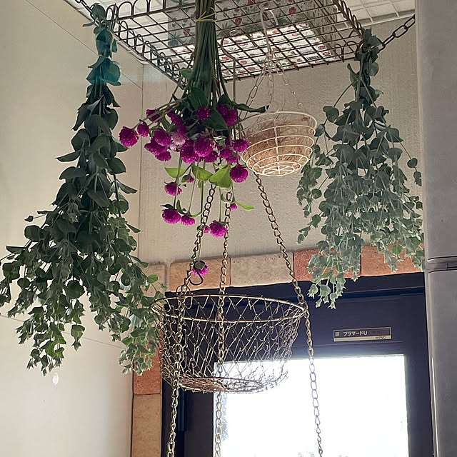 momocchiさんの部屋