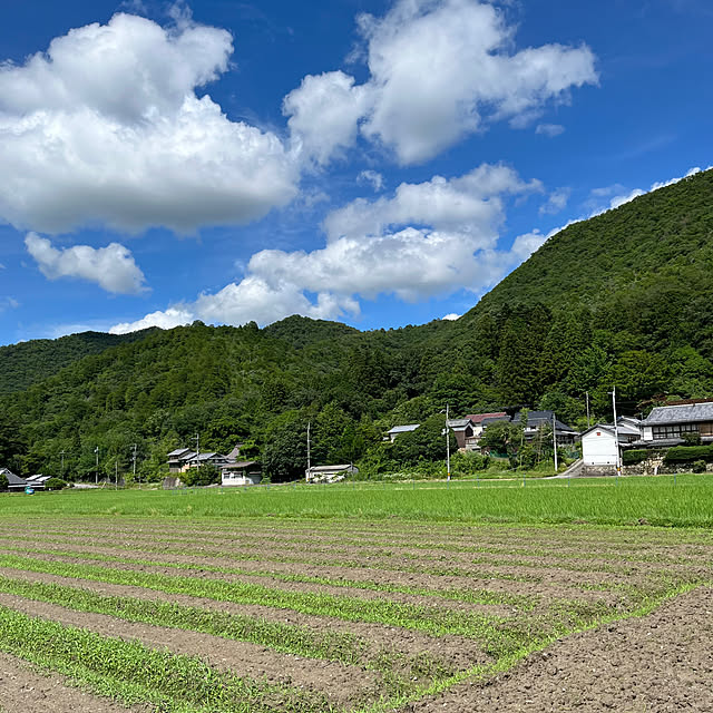 cotaさんの部屋
