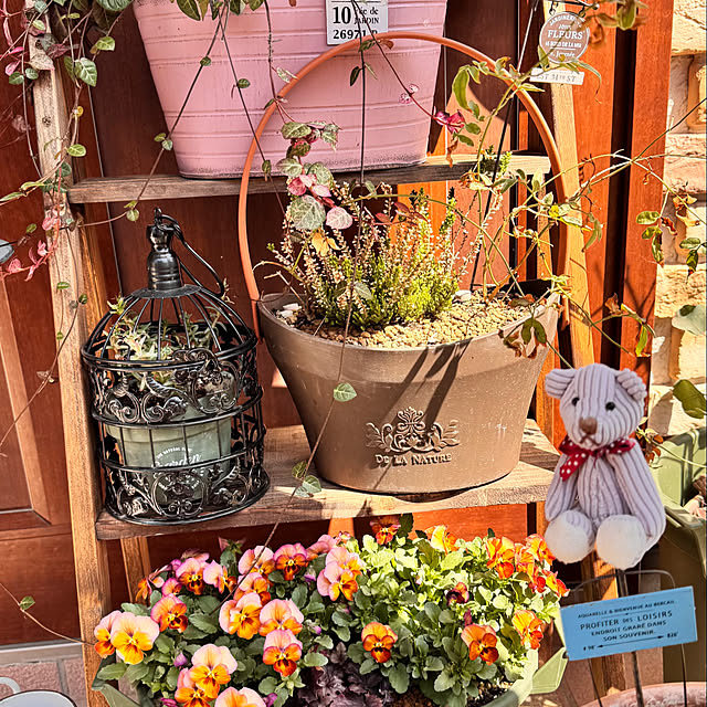 sry756さんの実例写真