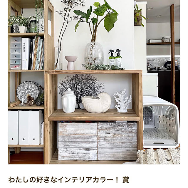 Kaneyukiさんの実例写真
