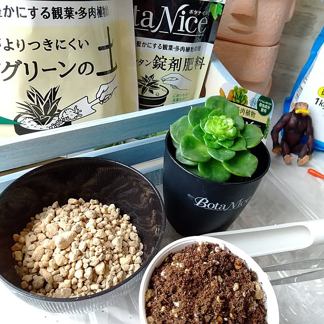 meiさんの実例写真