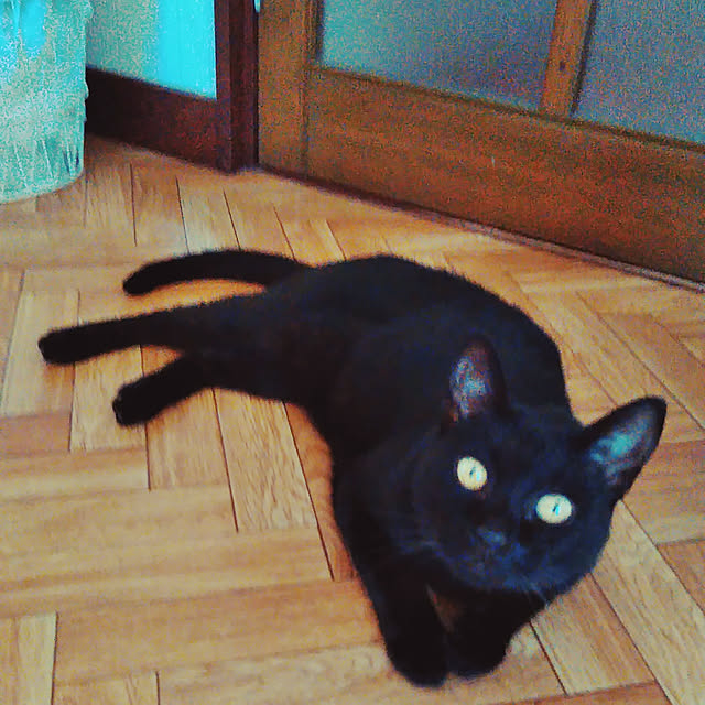 hiroさんの実例写真