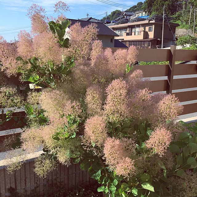 mamarinさんの実例写真