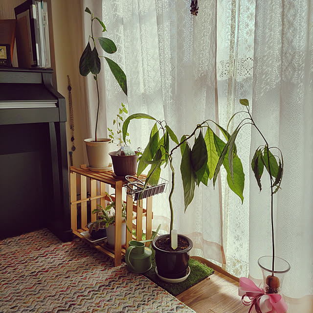 Maroさんの実例写真