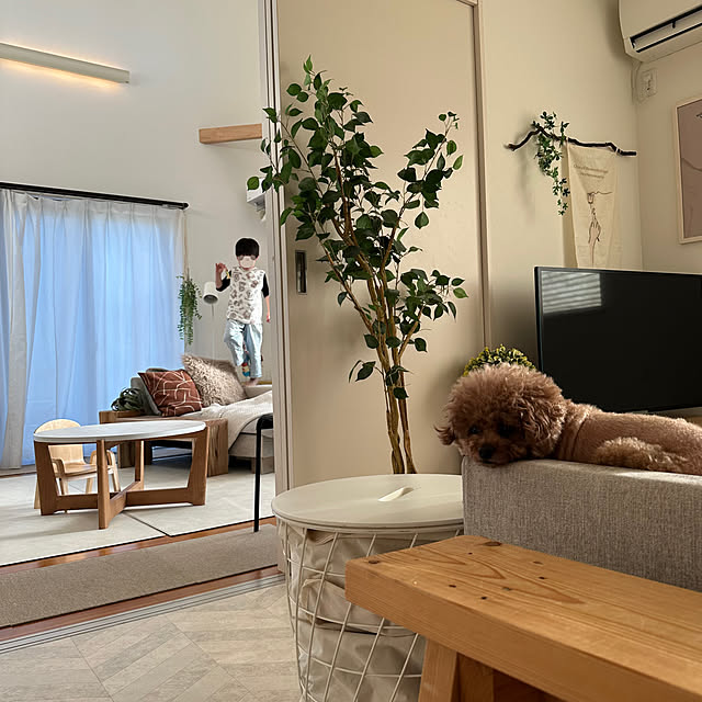 Tarutoさんの部屋