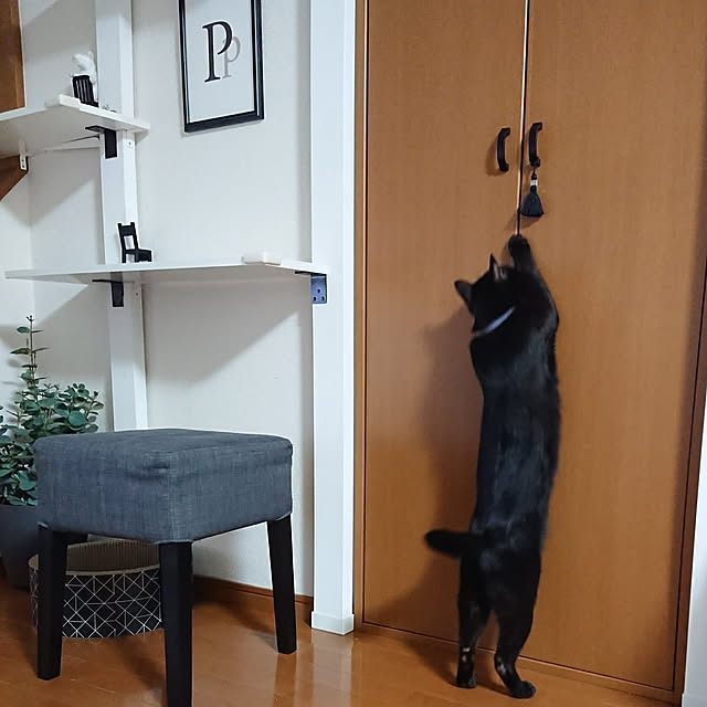 maikyさんの実例写真