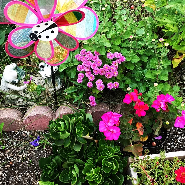 実例写真