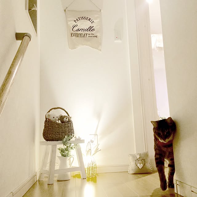 lovecatさんの実例写真