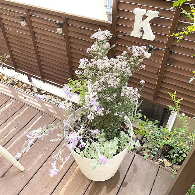 kuroさんの部屋