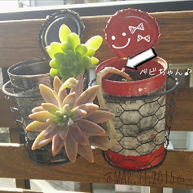 raraさんの実例写真