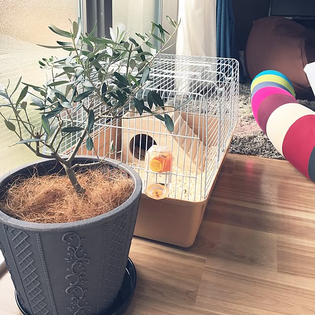 Sakikoさんの実例写真