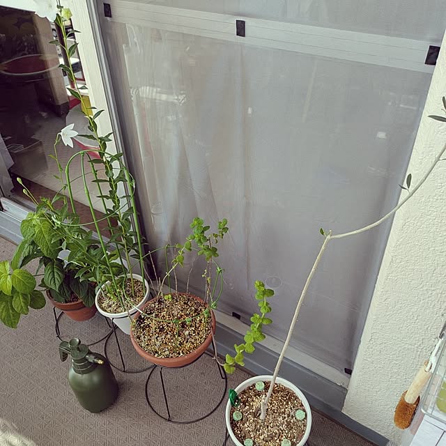 mi-saさんの実例写真