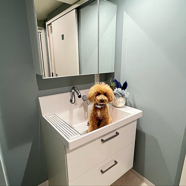 lovelovepoodleさんの実例写真