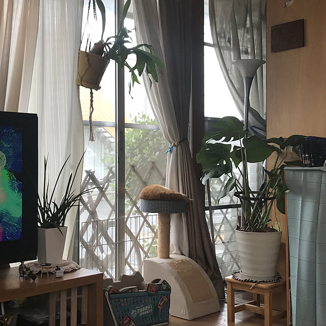 kou-kitiさんの実例写真