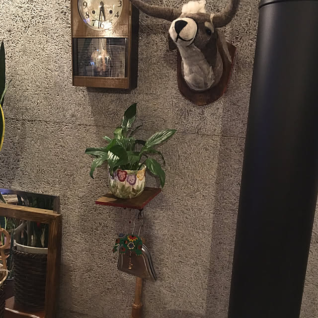 ucochanさんの実例写真