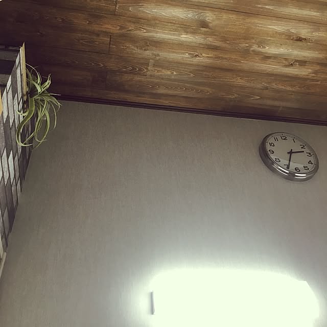 ayapaさんの実例写真