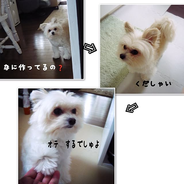 ksyanさんの実例写真