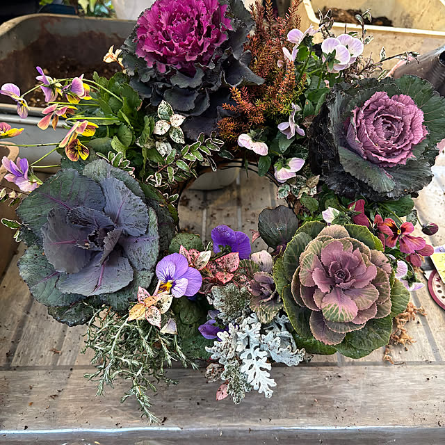 muumamaさんの部屋