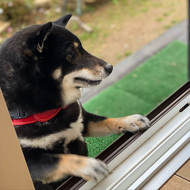 moainanoさんの実例写真