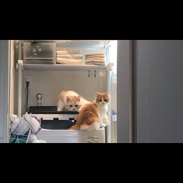 H.Tさんの実例写真