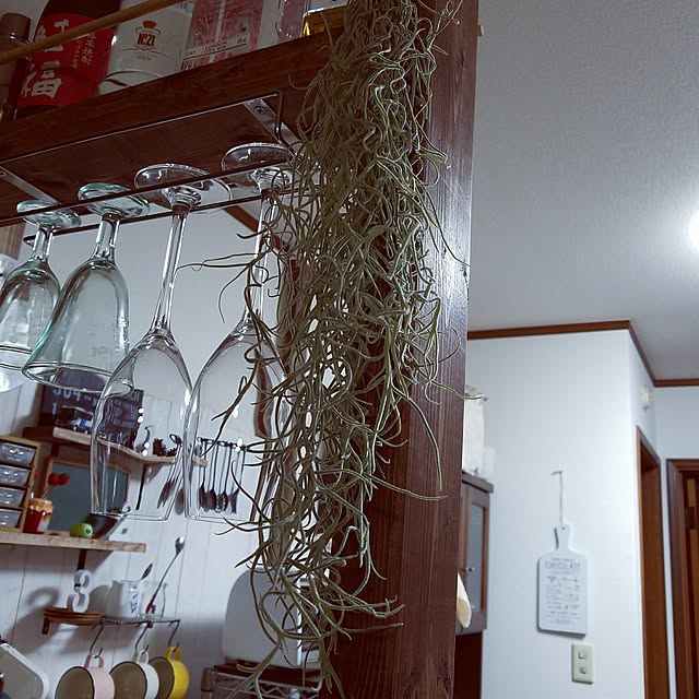 joy2_andさんの実例写真