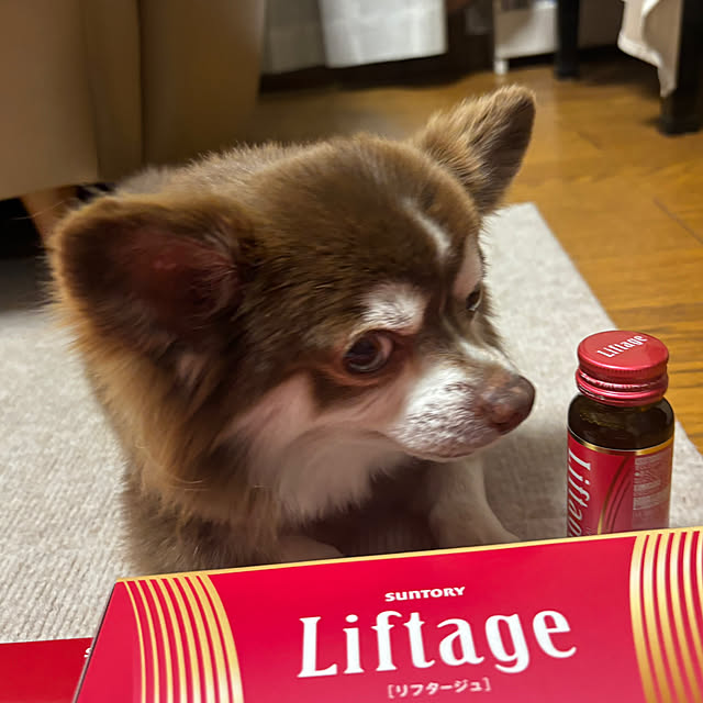 chIoeさんの部屋