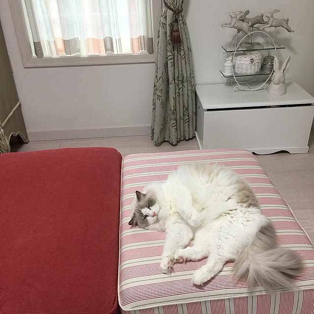 yuchiさんの実例写真