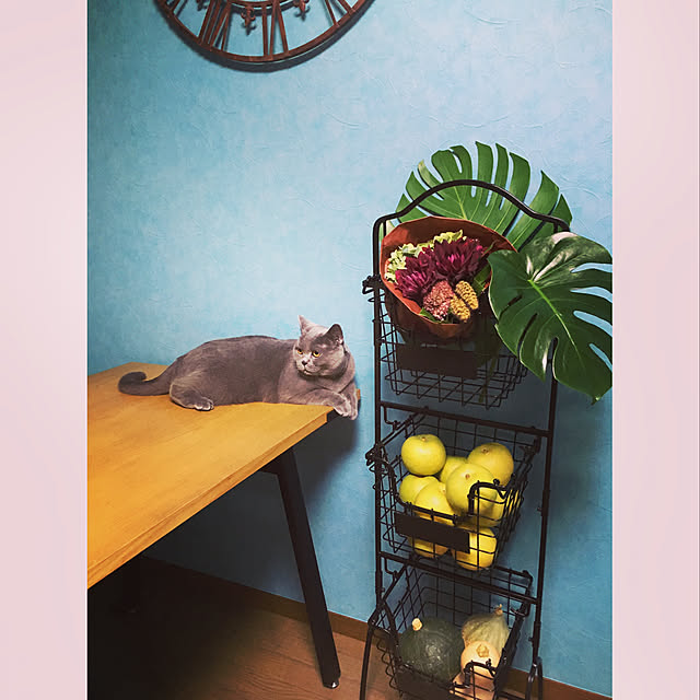 BTGさんの実例写真