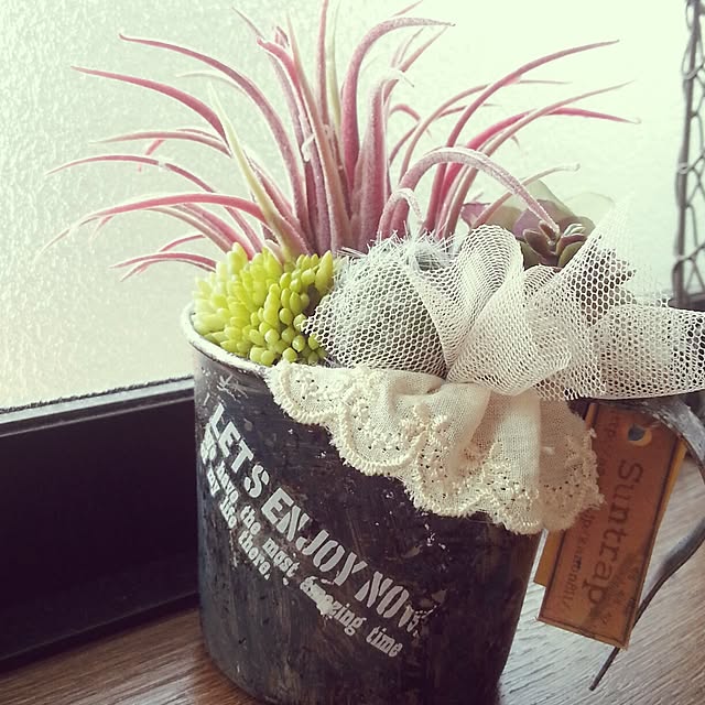 Suntrap811さんの実例写真