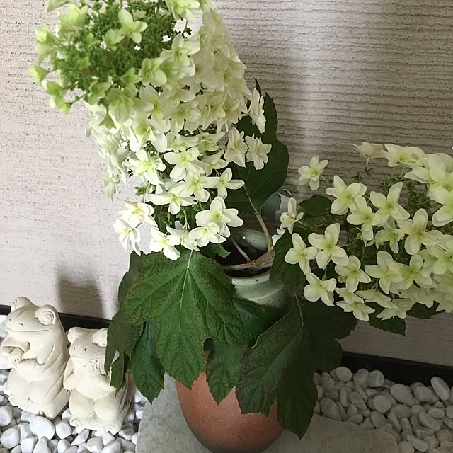 pixtupiさんの実例写真