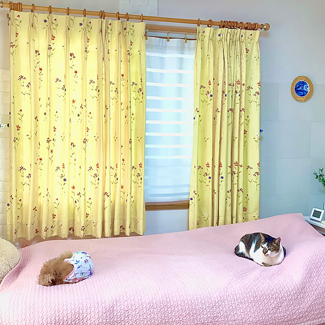 haruminさんの実例写真