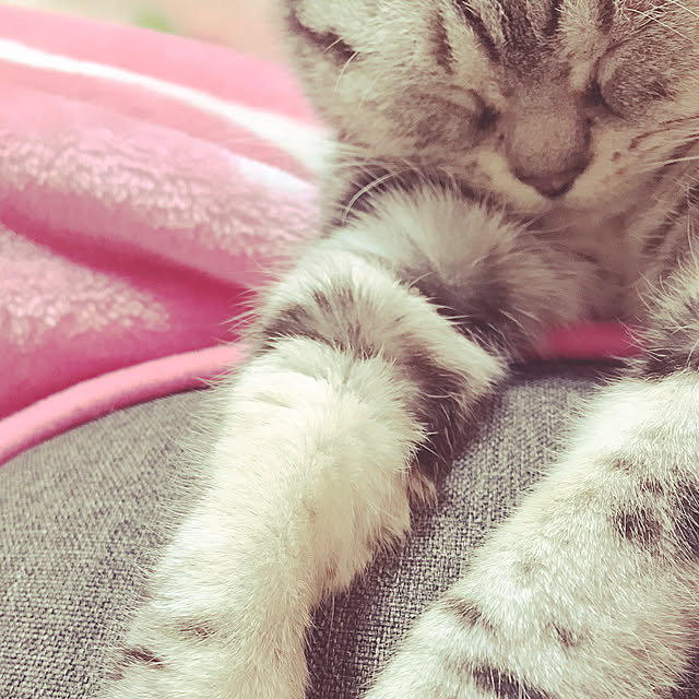 HANAさんの実例写真