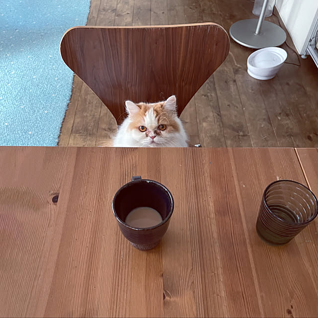 ricohananaさんの実例写真