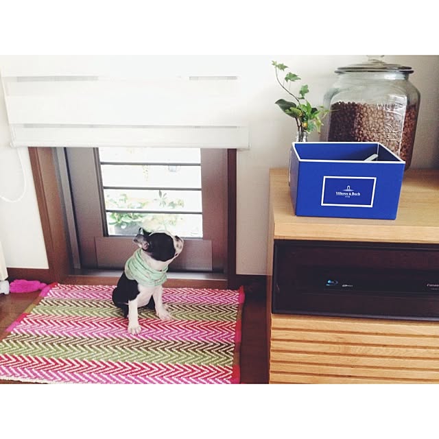 SAYN508さんの実例写真