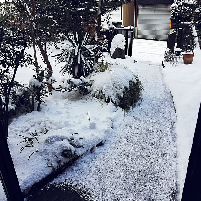 amanojakuさんの実例写真