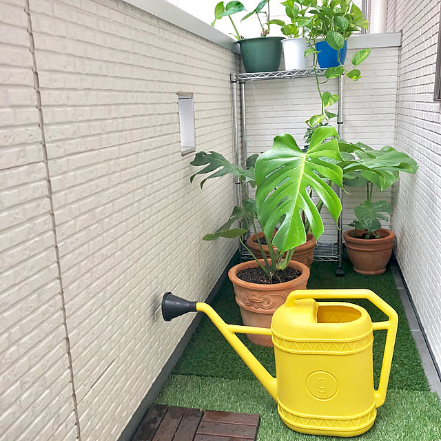 suzyさんの実例写真
