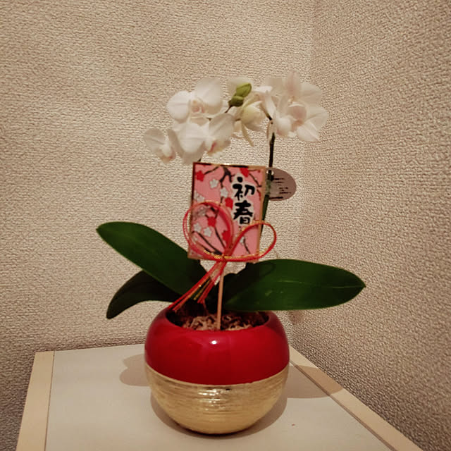 prinonさんの実例写真