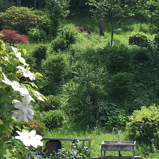 takaさんの実例写真