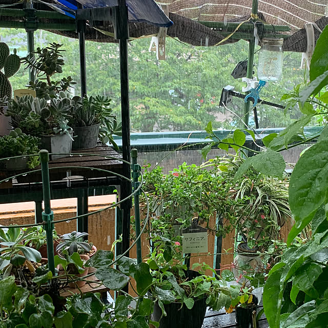 Aqettyさんの部屋