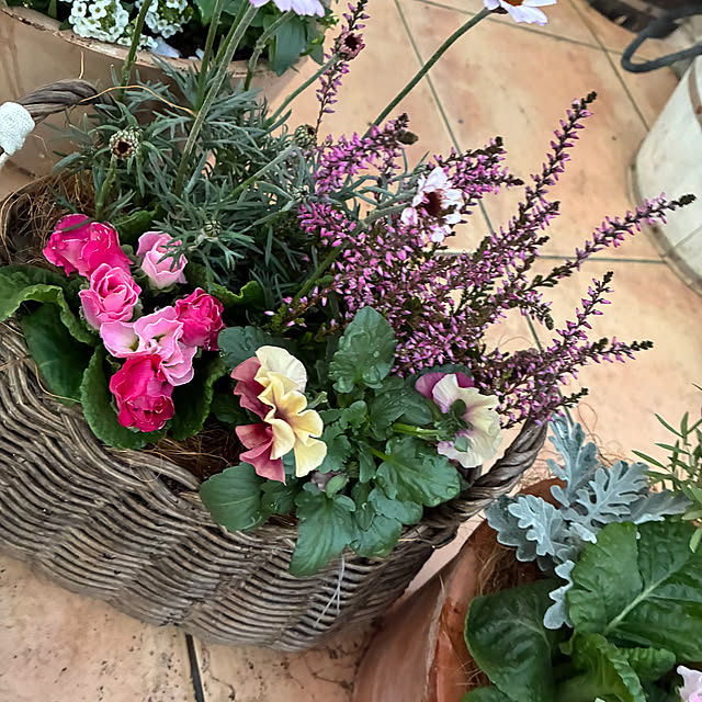 leepo5さんの部屋