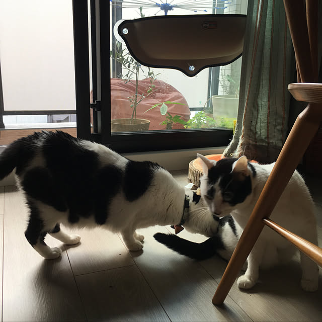 hanaさんの実例写真