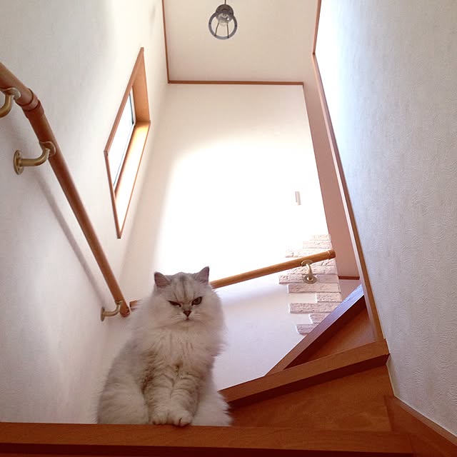 sakuさんの実例写真
