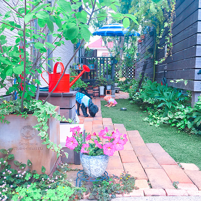 risaさんの実例写真