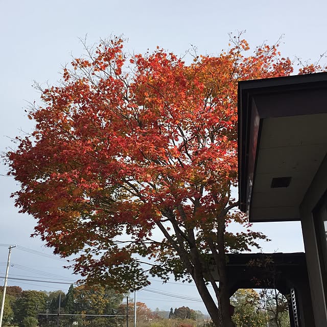 x9_skさんの実例写真